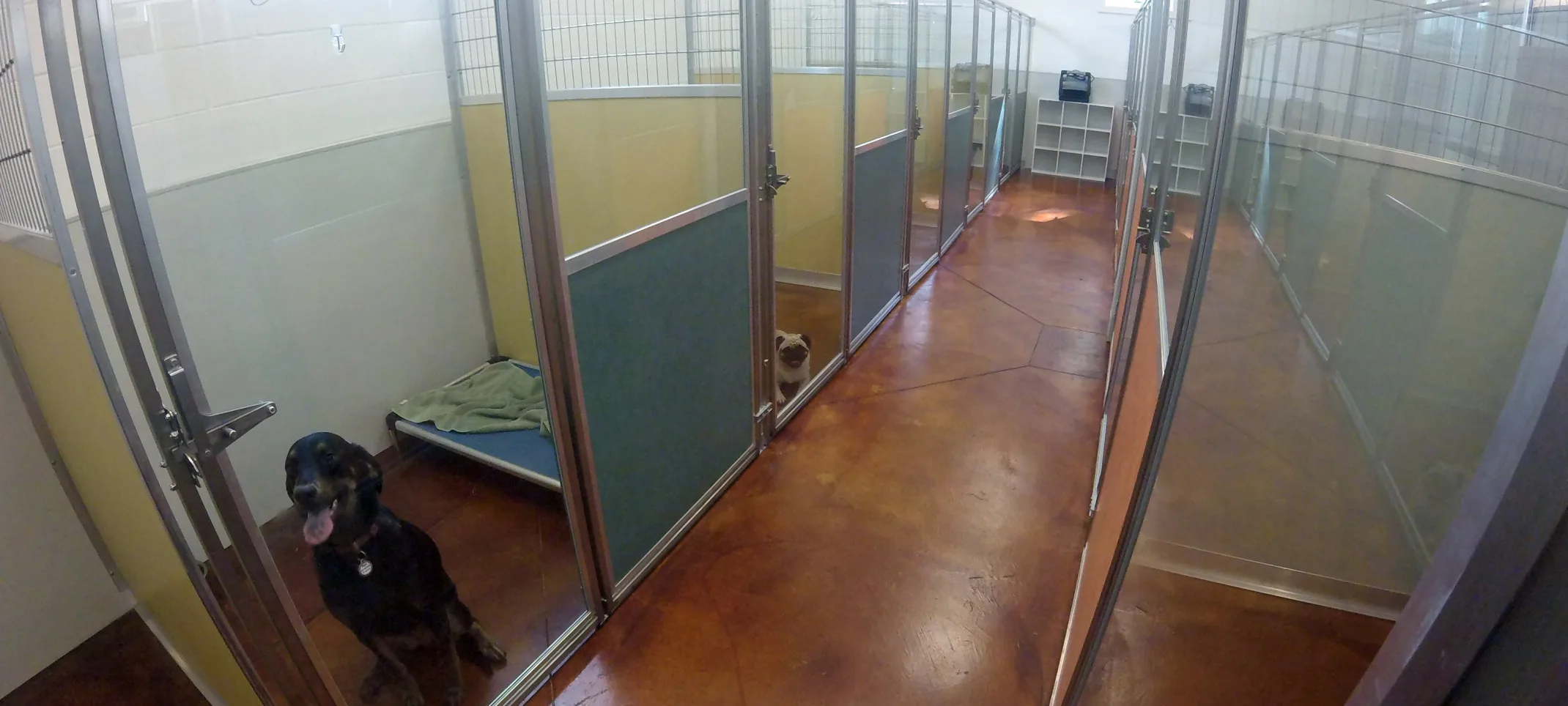 Animal Hospital of Orange Grove Kennels